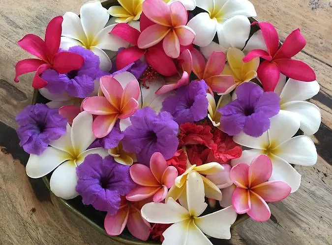 Frangipani Villa *